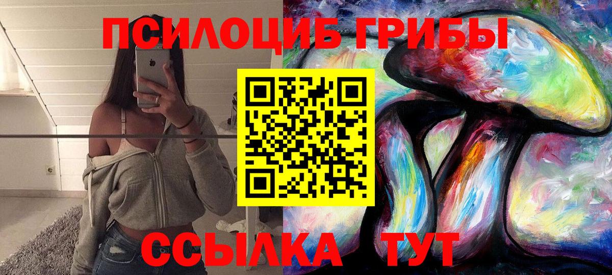 Псилоцибиновые грибы Psilocybe  Вход с VPN  Рыбинск 