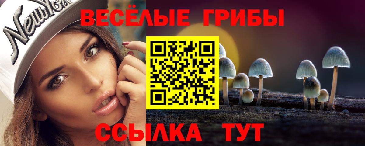 Галлюциногенные грибы GOLDEN TEACHER Рыбинск